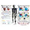 Humanoidirobotit oppivat käsittelemään esineitä